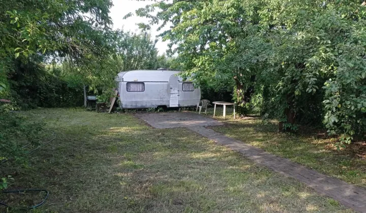 Działka rod Chełm, ul. Bursztynowa