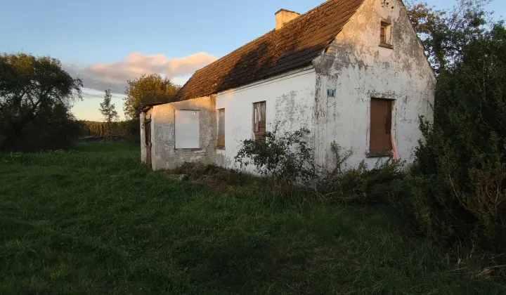 dom wolnostojący Radomyśl