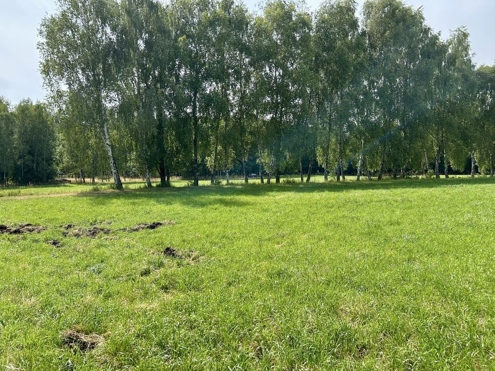 Działka budowlana Leśna Grobla. Zdjęcie 4