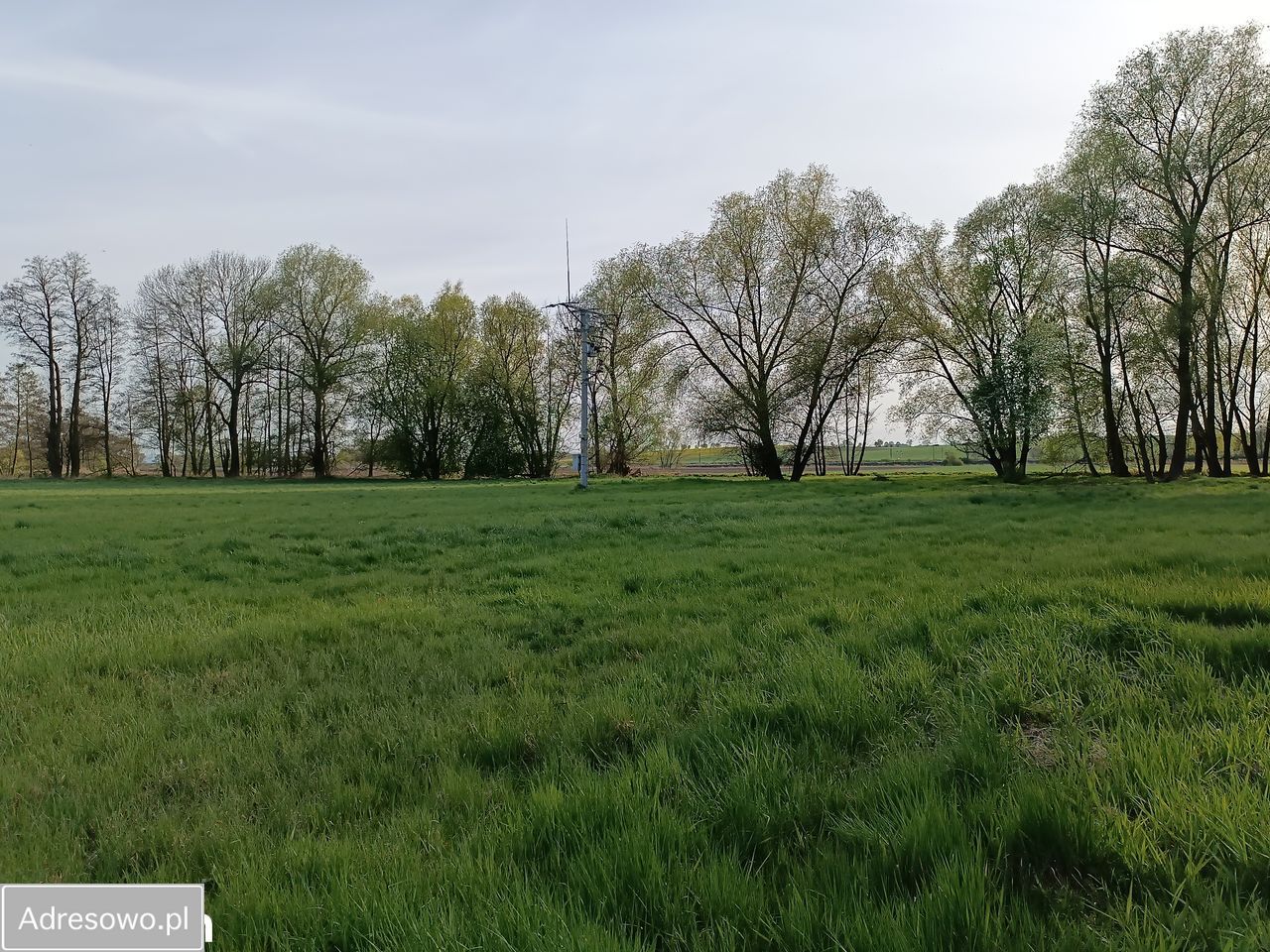 Działka rolna Biały Kościół, ul. Piastowska. Zdjęcie 6