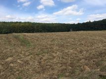 Działka rolna Maszków. Zdjęcie 4