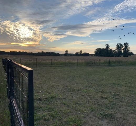 Działka rolno-budowlana Charzyno. Zdjęcie 1