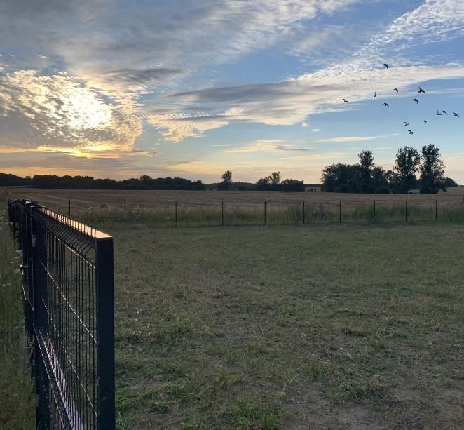 Działka rolno-budowlana Charzyno