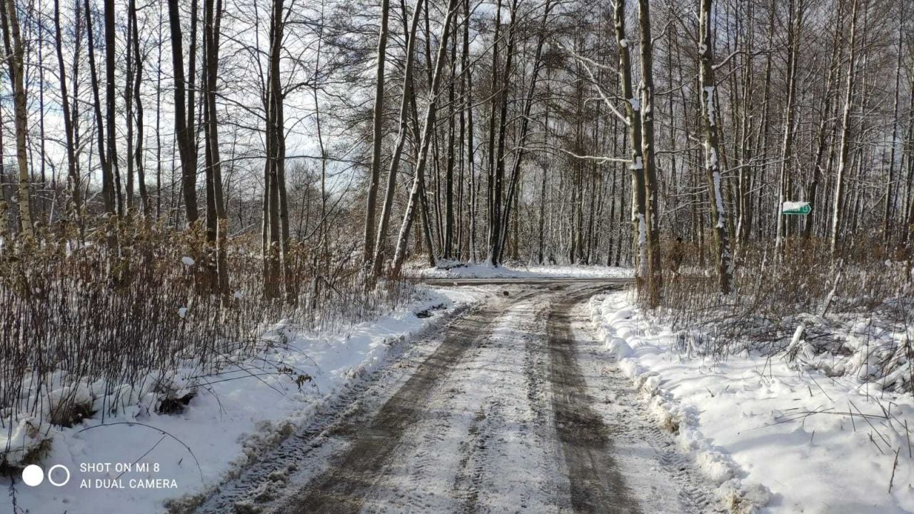 Działka inwestycyjna Antoninów. Zdjęcie 6