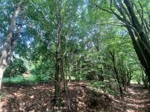 Działka budowlana Kołtki. Zdjęcie 1