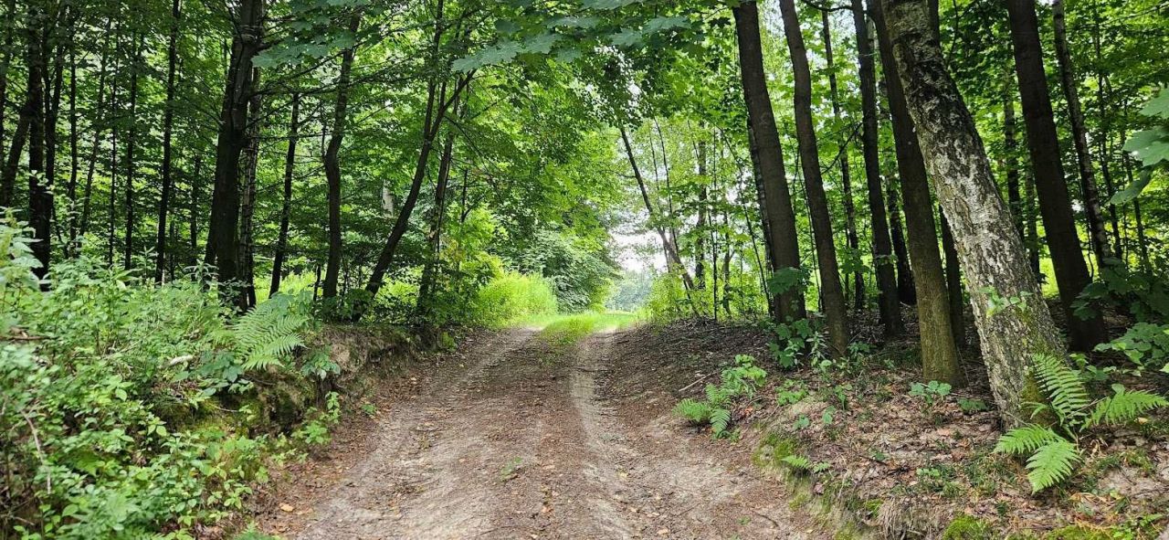 Działka rolna Bochotnica. Zdjęcie 4