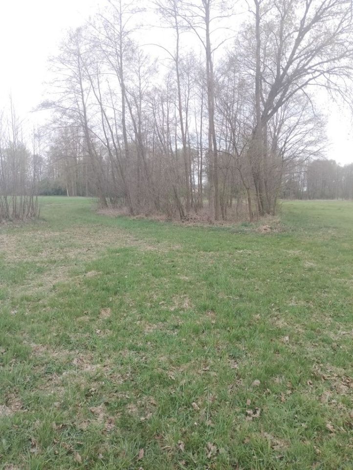 Działka rekreacyjna Zagórów. Zdjęcie 5