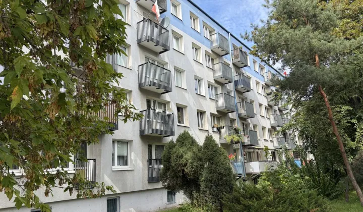 Mieszkanie 4-pokojowe Poznań Winogrady, os. Kosmonautów