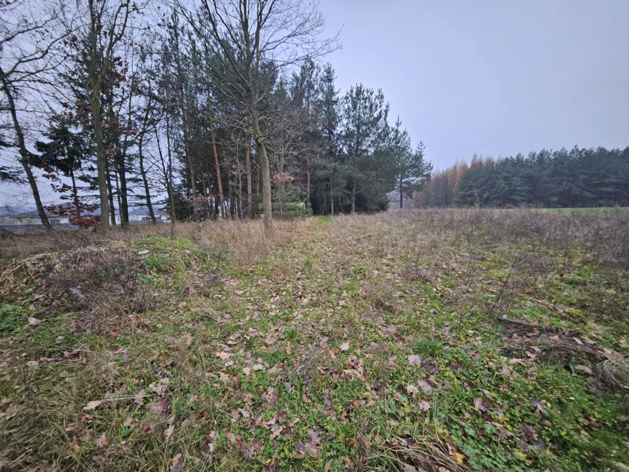 Działka rolno-budowlana Wiechetki Małe. Zdjęcie 3