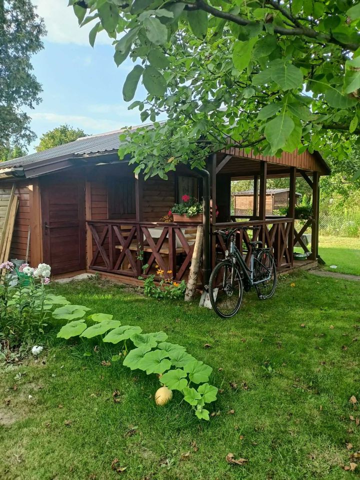 Działka rod Ciechanów, ul. Gostkowska. Zdjęcie 4