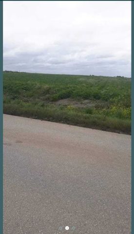 Działka rolna Zakrzów. Zdjęcie 1