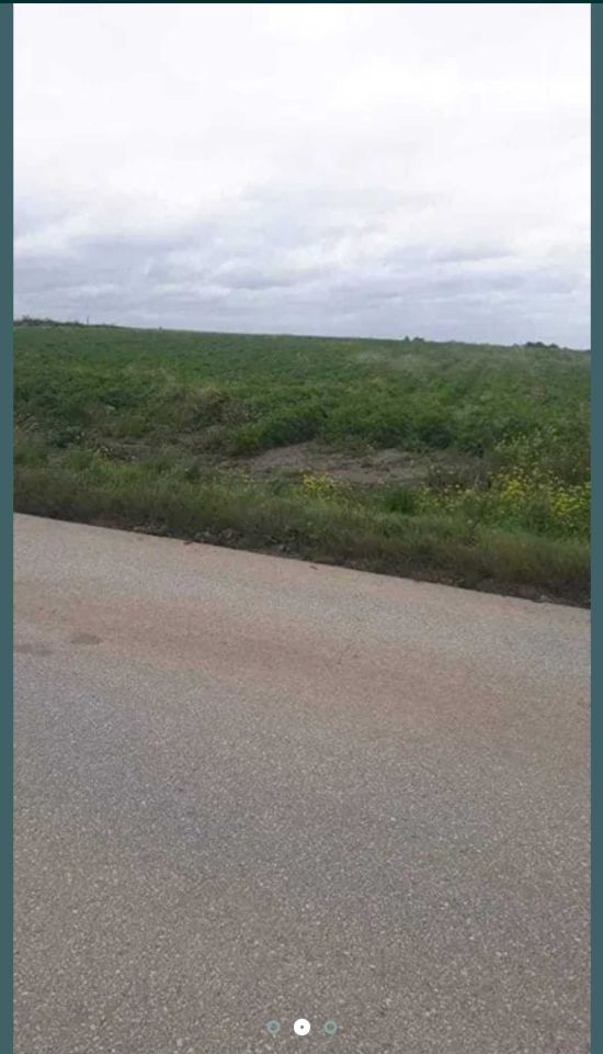 Działka rolna Zakrzów