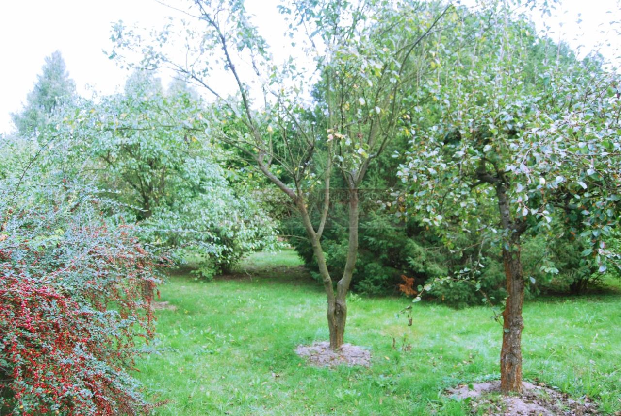 dom wolnostojący, 4 pokoje Niemce, ul. Willowa. Zdjęcie 4