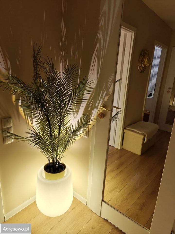 Mieszkanie 2-pokojowe Bytom Miechowice, ul. Francuska. Zdjęcie 5