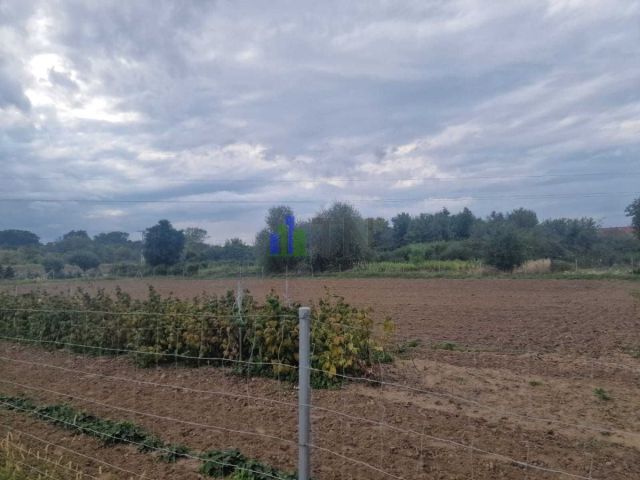 Działka budowlana Gajków. Zdjęcie 1