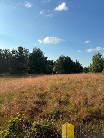 Działka budowlana Gardna Wielka. Zdjęcie 13