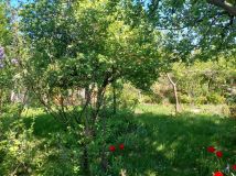 Działka rod Warszawa Ursynów, ul. Poleczki. Zdjęcie 4