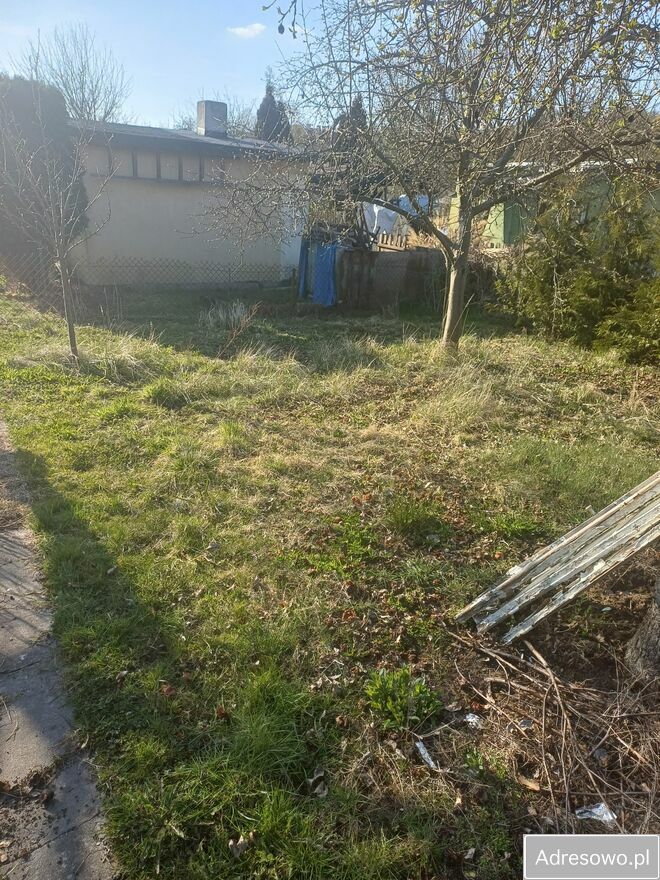 Działka rod Gorzów Wielkopolski Śródmieście, ul. Szpitalna. Zdjęcie 6