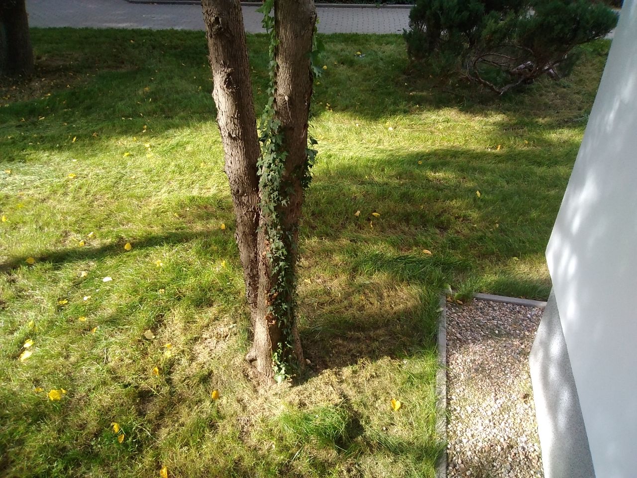 Mieszkanie 3-pokojowe Świdnica, ul. Emilii Plater. Zdjęcie 6