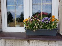 dom wolnostojący Puszcza Miejska. Zdjęcie 1