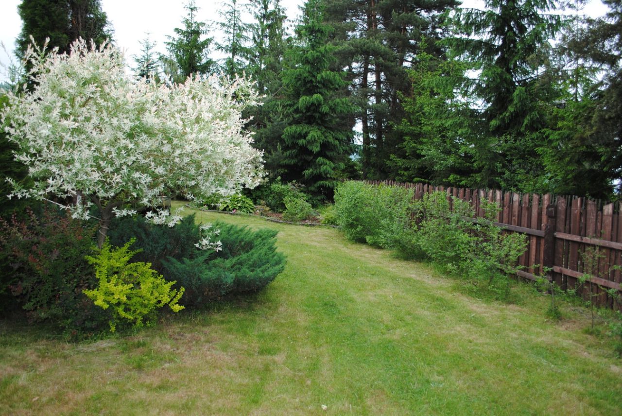 dom letniskowy, 3 pokoje Sidzina. Zdjęcie 11
