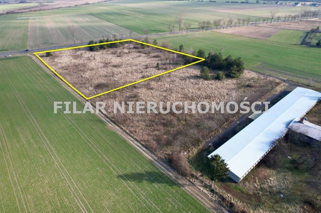 Działka inwestycyjna Gogołowice. Zdjęcie 2