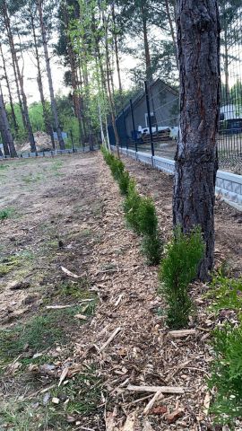 Działka rod Toruń. Zdjęcie 1