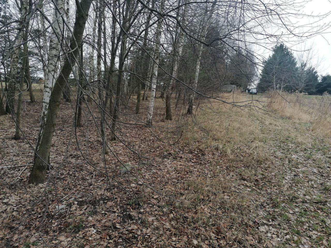 Działka budowlana Sękocin Nowy, .. Zdjęcie 2