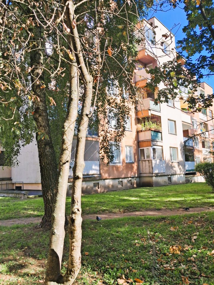Mieszkanie 2-pokojowe Ełk Centrum, ul. Wojska Polskiego. Zdjęcie 13