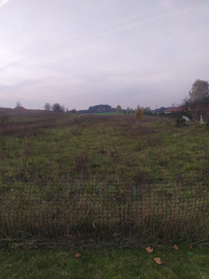 Działka rolno-budowlana Romany. Zdjęcie 4