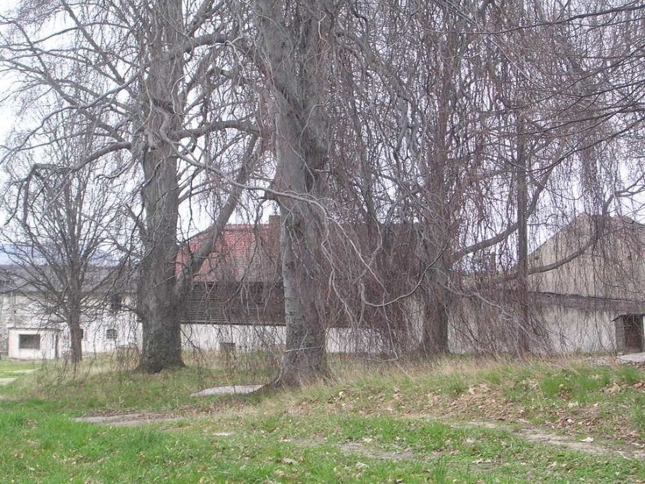 Nieruchomość komercyjna Kostrzyna. Zdjęcie 7