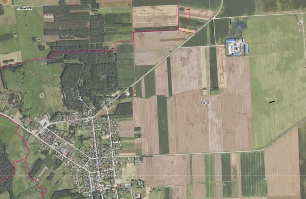 Działka rolna Orla. Zdjęcie 3