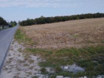 Działka rolno-budowlana Gotówka. Zdjęcie 1