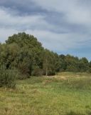 Działka rolna Śmilcz. Zdjęcie 3