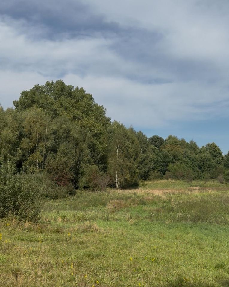 Działka rolna Śmilcz, ul. 1000-lecia / boczna. Zdjęcie 4