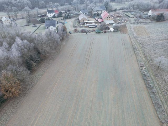 Działka Włodzice Wielkie. Zdjęcie 1