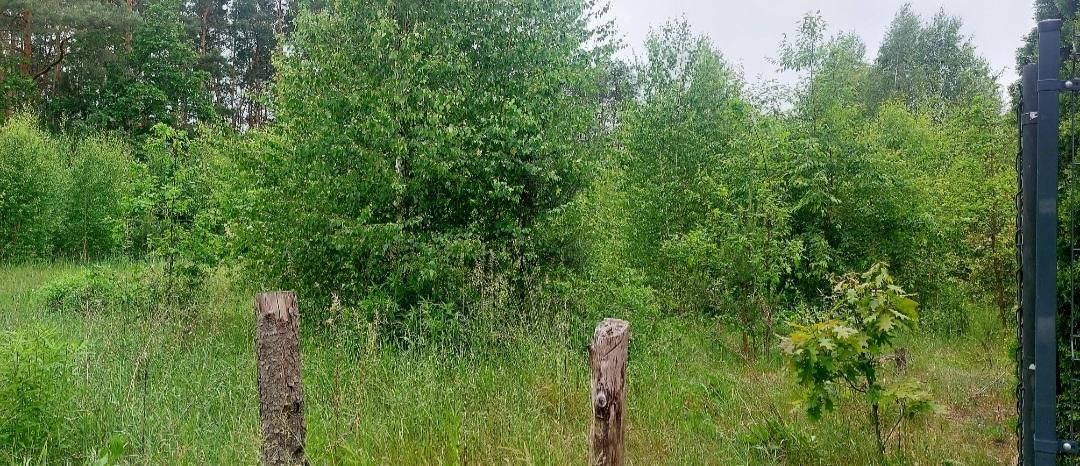 Działka budowlana Stary Adamów, Aleja Bzów. Zdjęcie 8