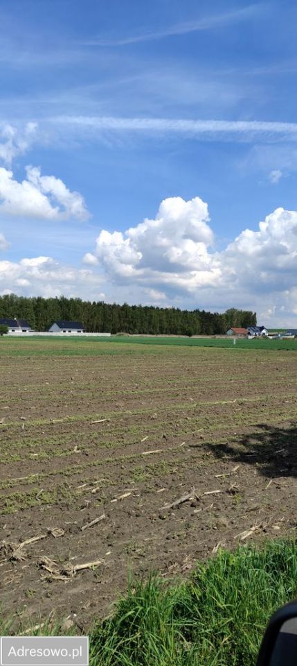 Działka budowlana Siedlec, ul. Przylesie. Zdjęcie 14