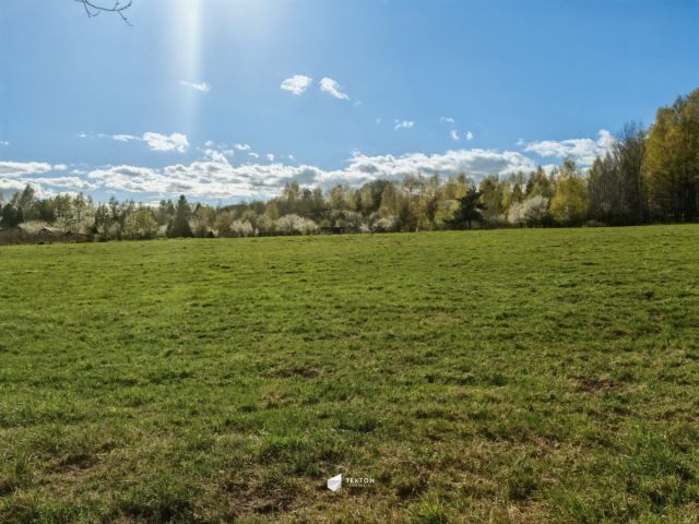 Działka inwestycyjna Czapielsk. Zdjęcie 6