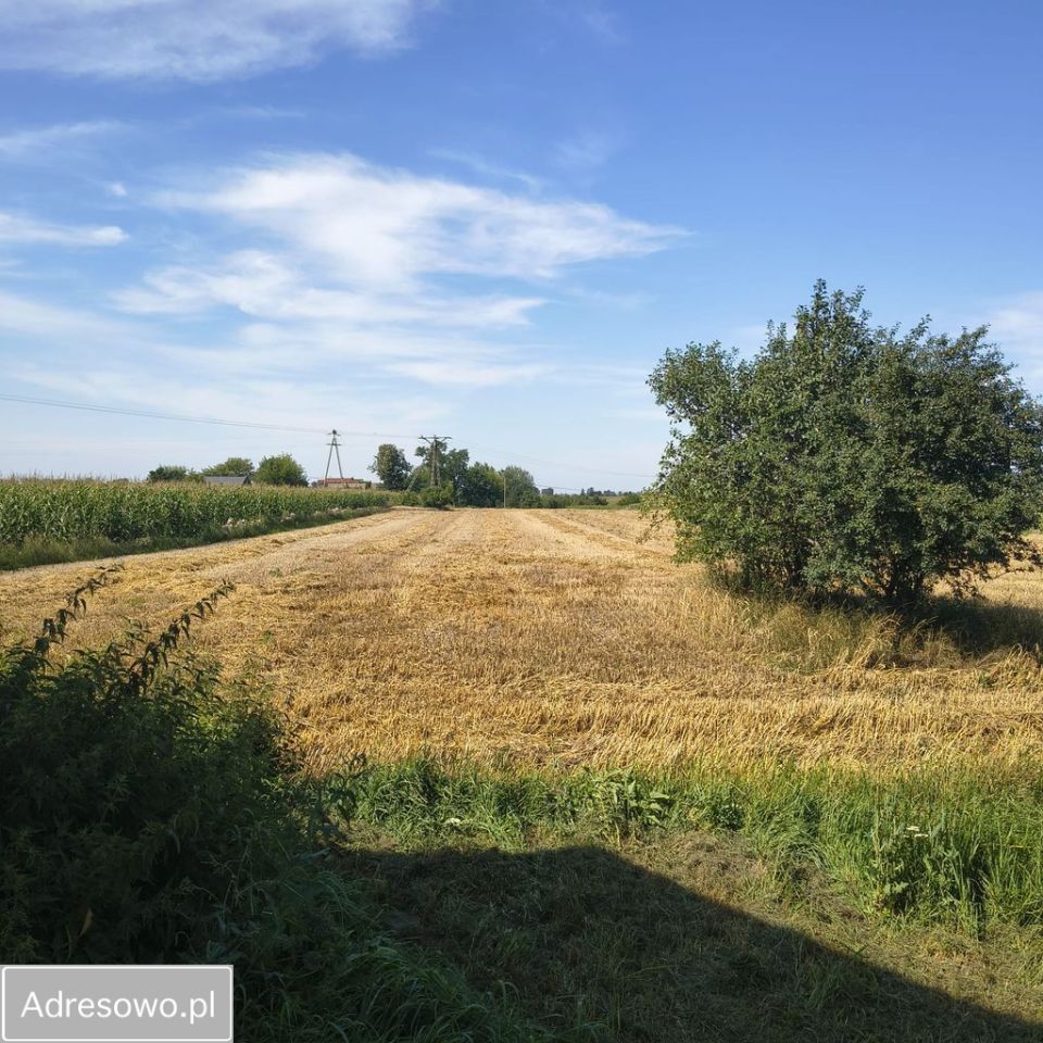 dom wolnostojący, 2 pokoje Janów. Zdjęcie 14