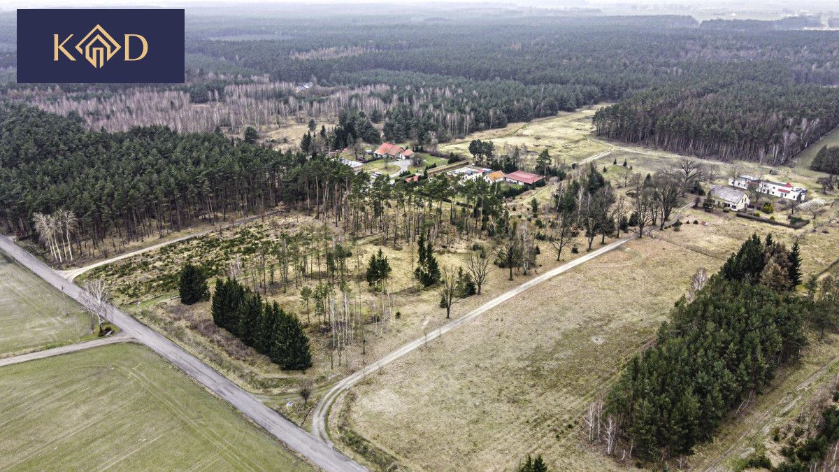 Działka inwestycyjna Dąbrowa Nowa. Zdjęcie 3