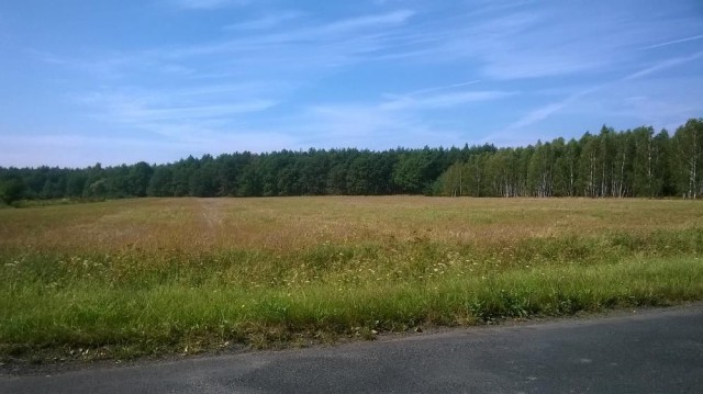 Działka rolna Buszkowice. Zdjęcie 1