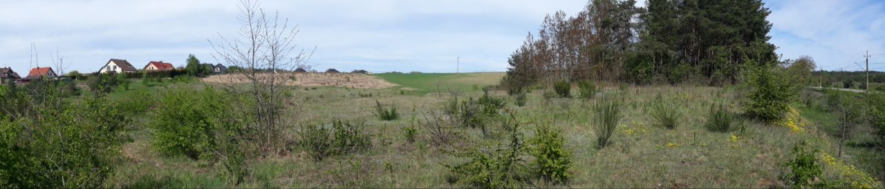 Działka rolna Siemianice, ul. Polna. Zdjęcie 5
