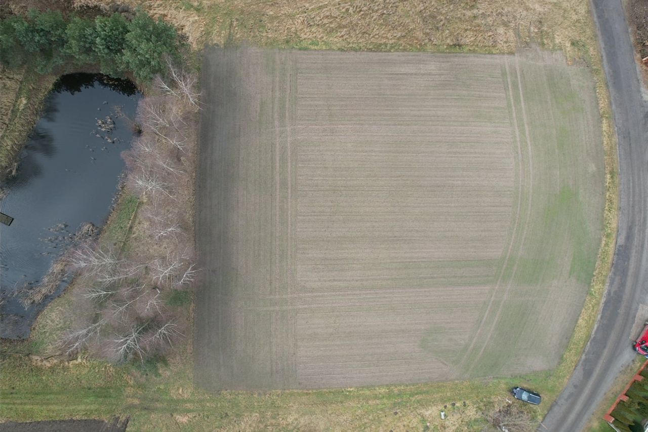 Działka budowlana Korzeńsko, ul. Chodlewska. Zdjęcie 10