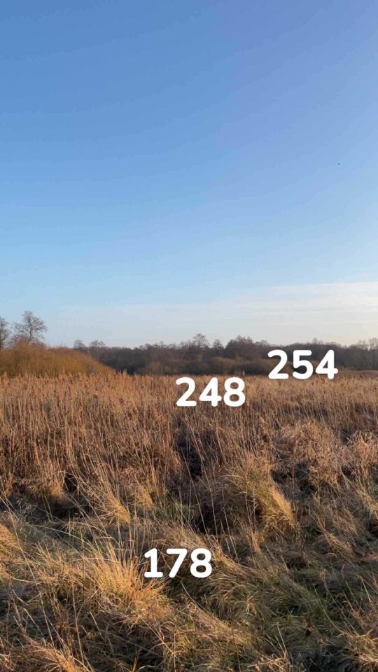 Działka rolna Ulaski Gostomskie. Zdjęcie 6