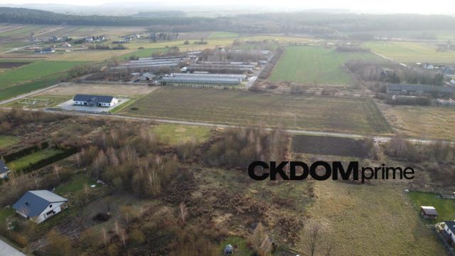 Działka budowlana Oblęgorek. Zdjęcie 7