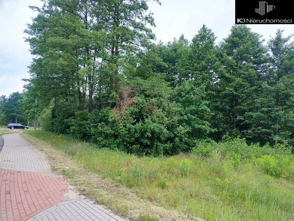 Działka inwestycyjna Jasiorówka. Zdjęcie 3