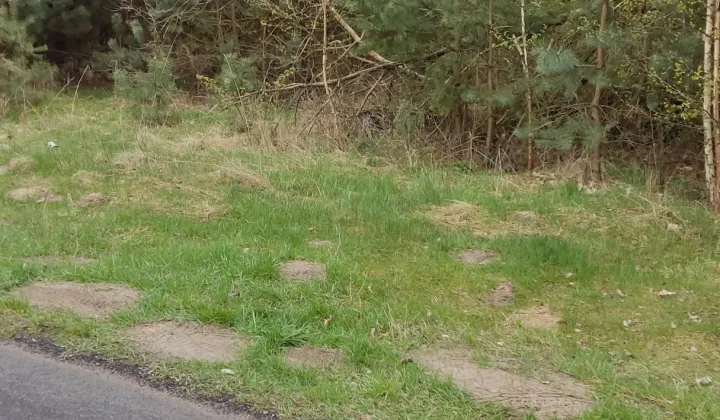 Działka siedliskowa Wola Pniewska