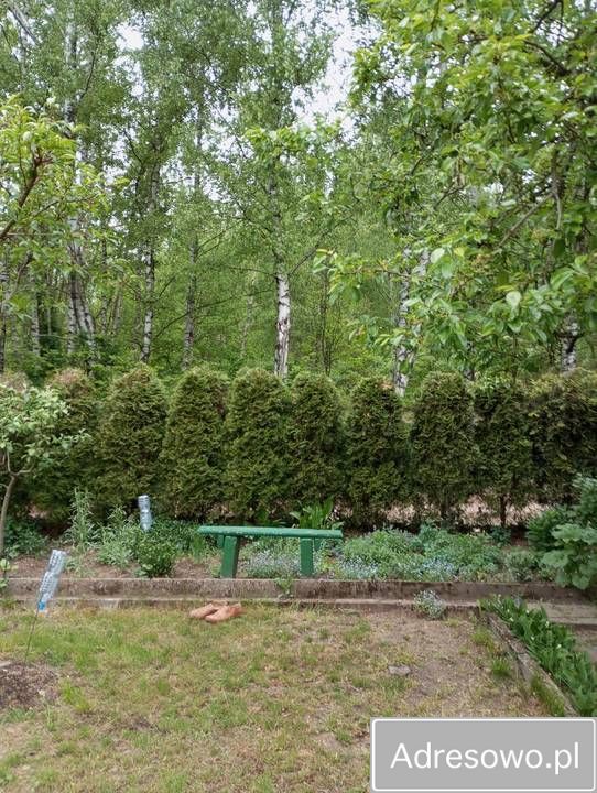 Działka rod Rypin, ul. Spokojna. Zdjęcie 4