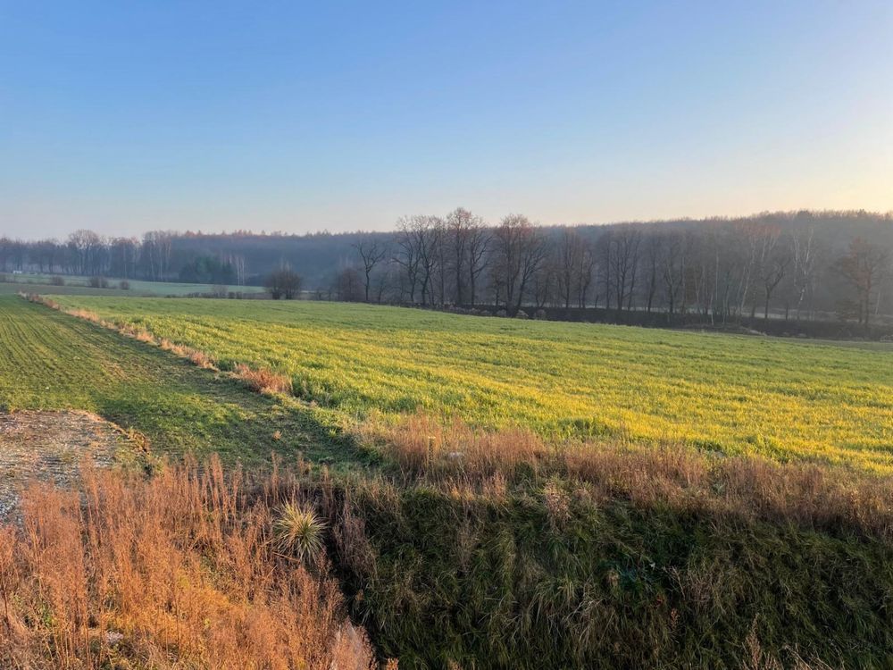 Działka rolna Poradów. Zdjęcie 6